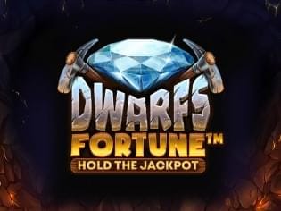 Dwarfs Fortune screenshot
